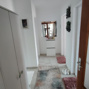 Sokobanja na dlanu